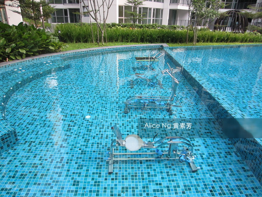 Eight Courtyards (D27), Condominium #205106261